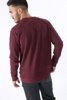 Picture of Men's Basic Sweatshirt bordeaux