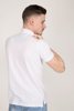 Picture of Basic Short Sleeves Polo shirt White