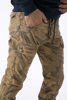 Picture of Men's Cargo Pants Army in Beige