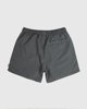 Picture of Men's Basic Coloured Swimming Trunks "Island" in Grey