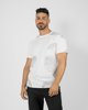 Picture of Men's Short Sleeve T-Shirt "Leafy" in Off-White