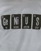 Picture of Men's Long Sleeve T-Shirt "Genius" in Grey