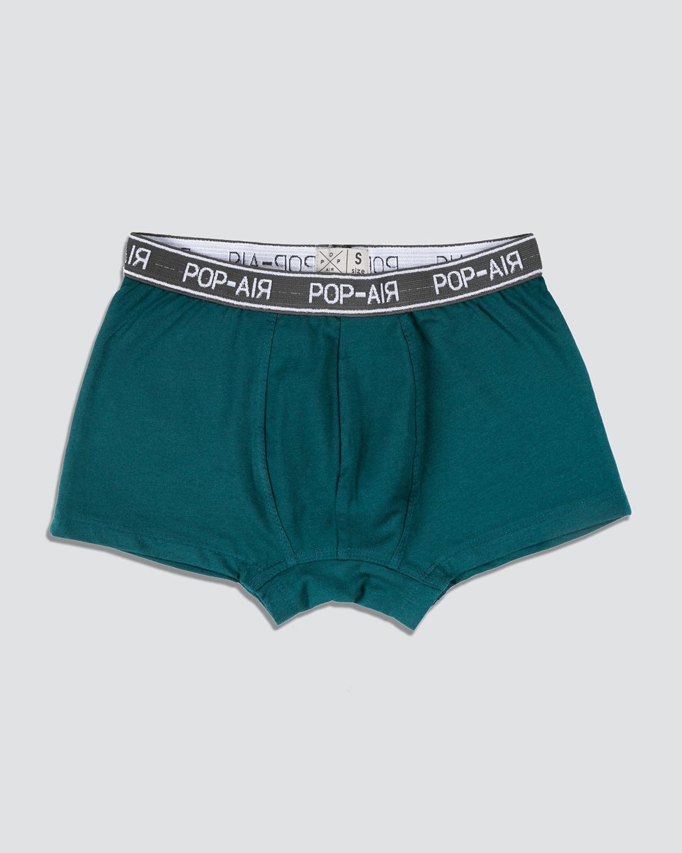 Picture of Basic Boxer Shorts in Petrol