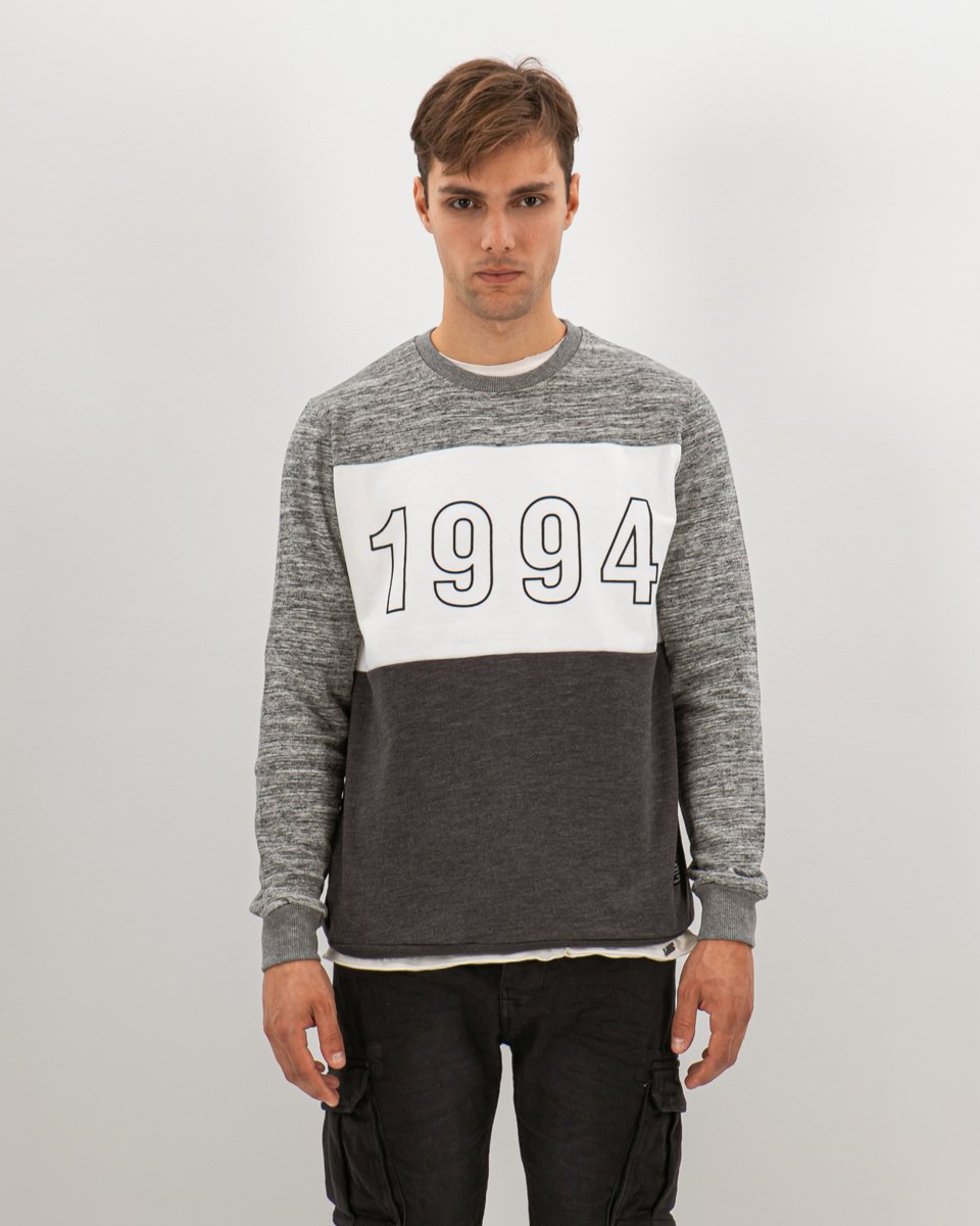 Picture of Men's Sweatshirt "1994" Grey
