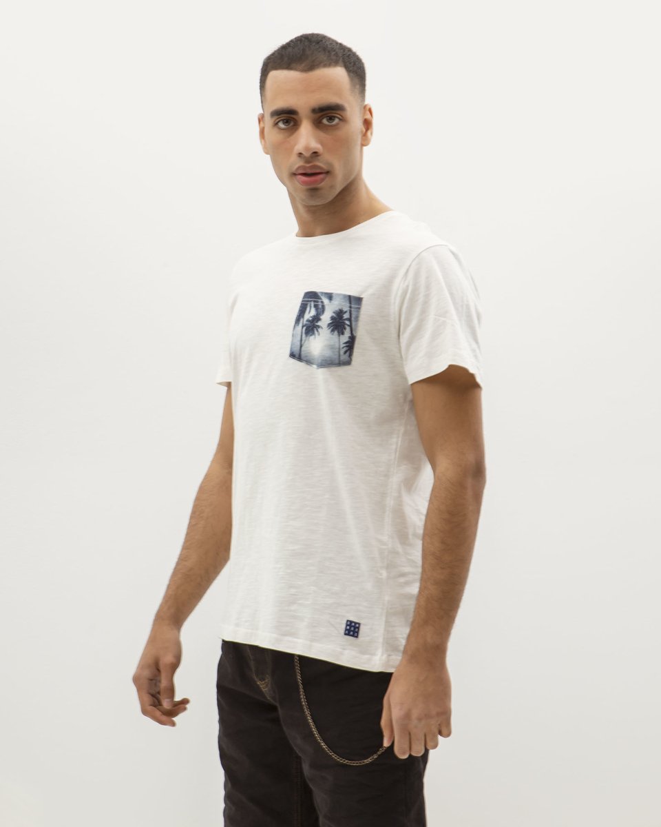 Picture of Men's Short Sleeve T-Shirt in White
