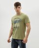 Picture of Men's Short Sleeve T-Shirt in Green