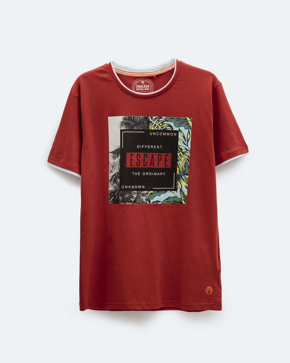 Picture of Men's Short Sleeve T-Shirt in Red